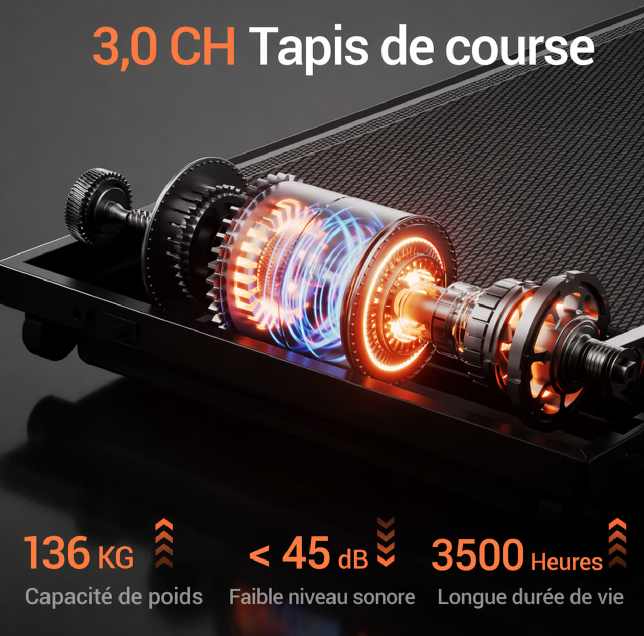 Tapis de course ROBORE SF20