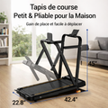 Tapis de course ROBORE X5F